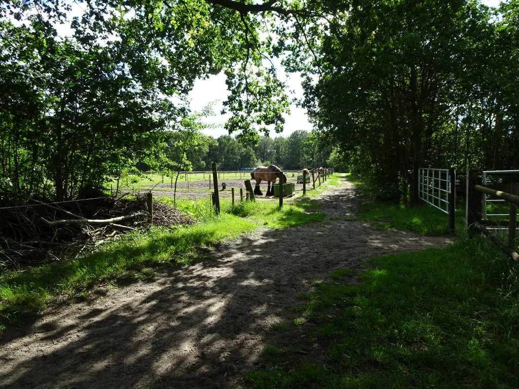 Landschap rondom De Vlaemsche Hoeve in Rucphen