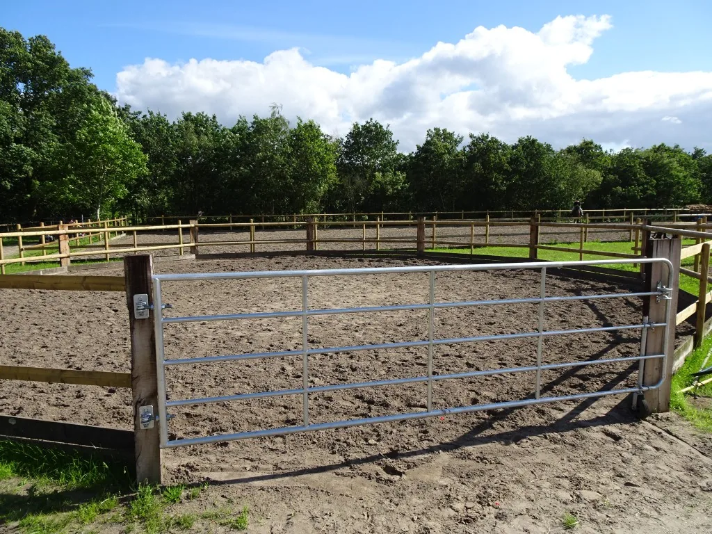 Round pen / longeercirkel