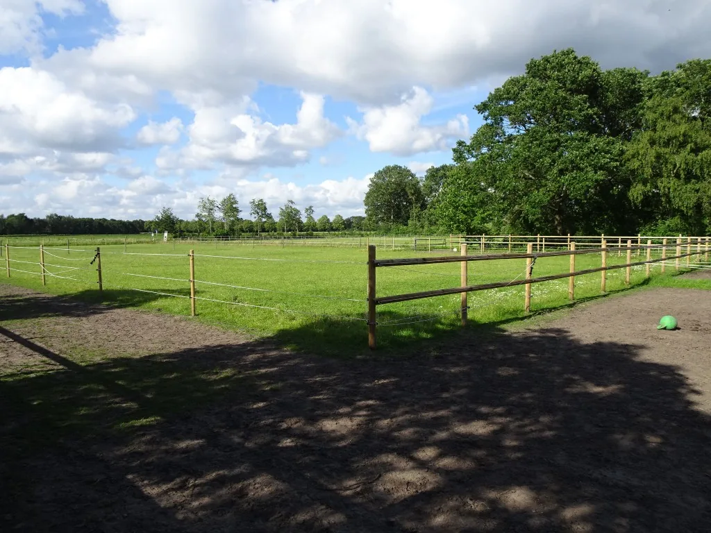 Zandpad in de omgeving van De Vlaemsche Hoeve
