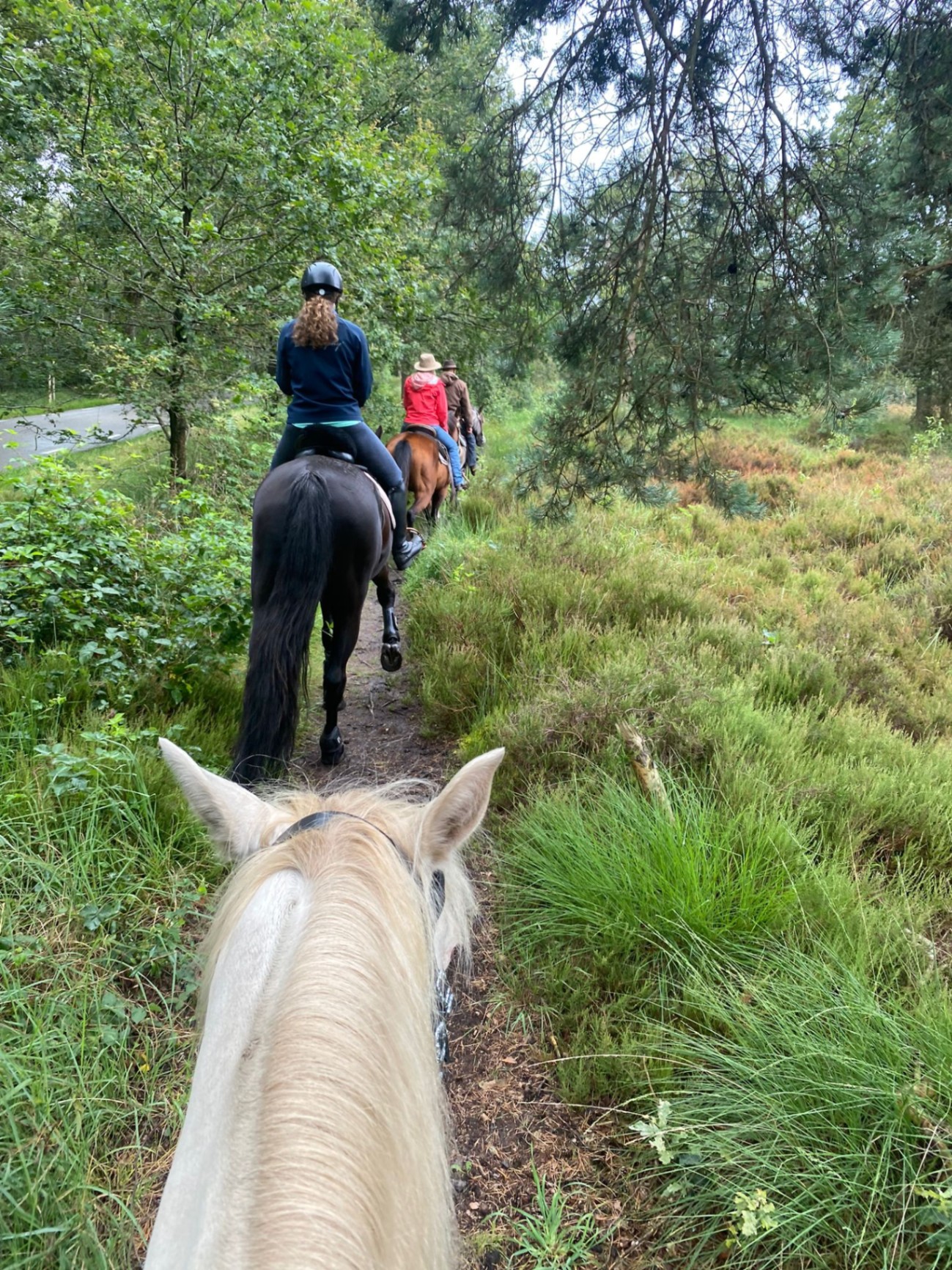 Buitenrit op de heide bij Nispen