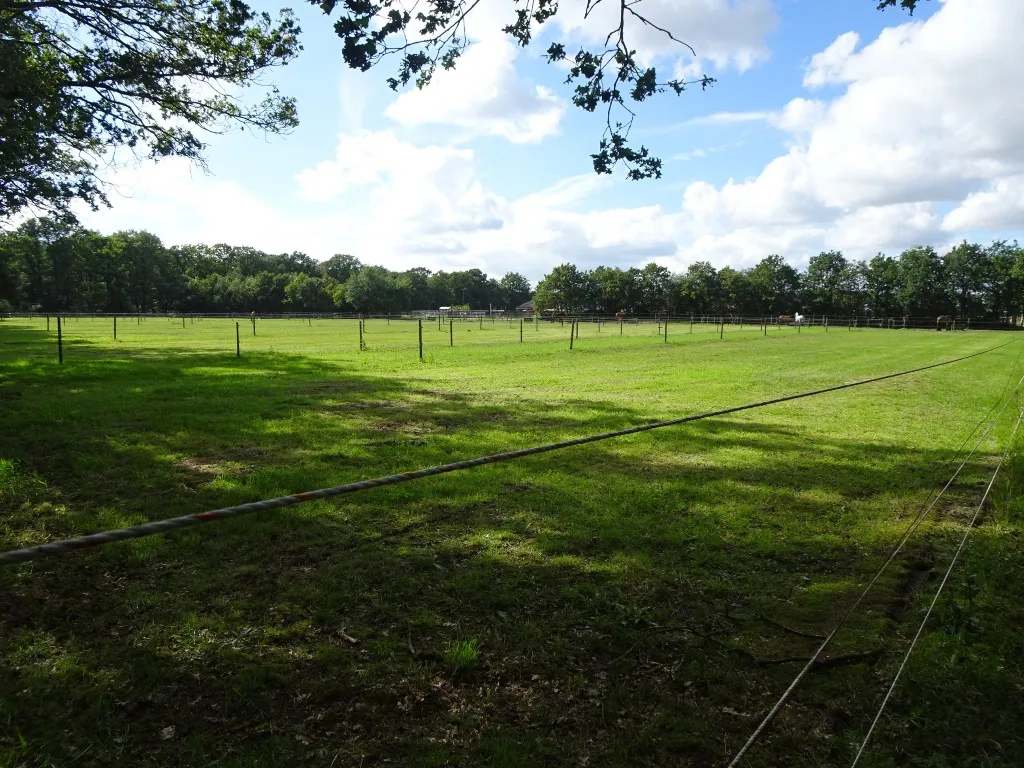 Weidegang met hooi voor de kudde op De Vlaemsche Hoeve