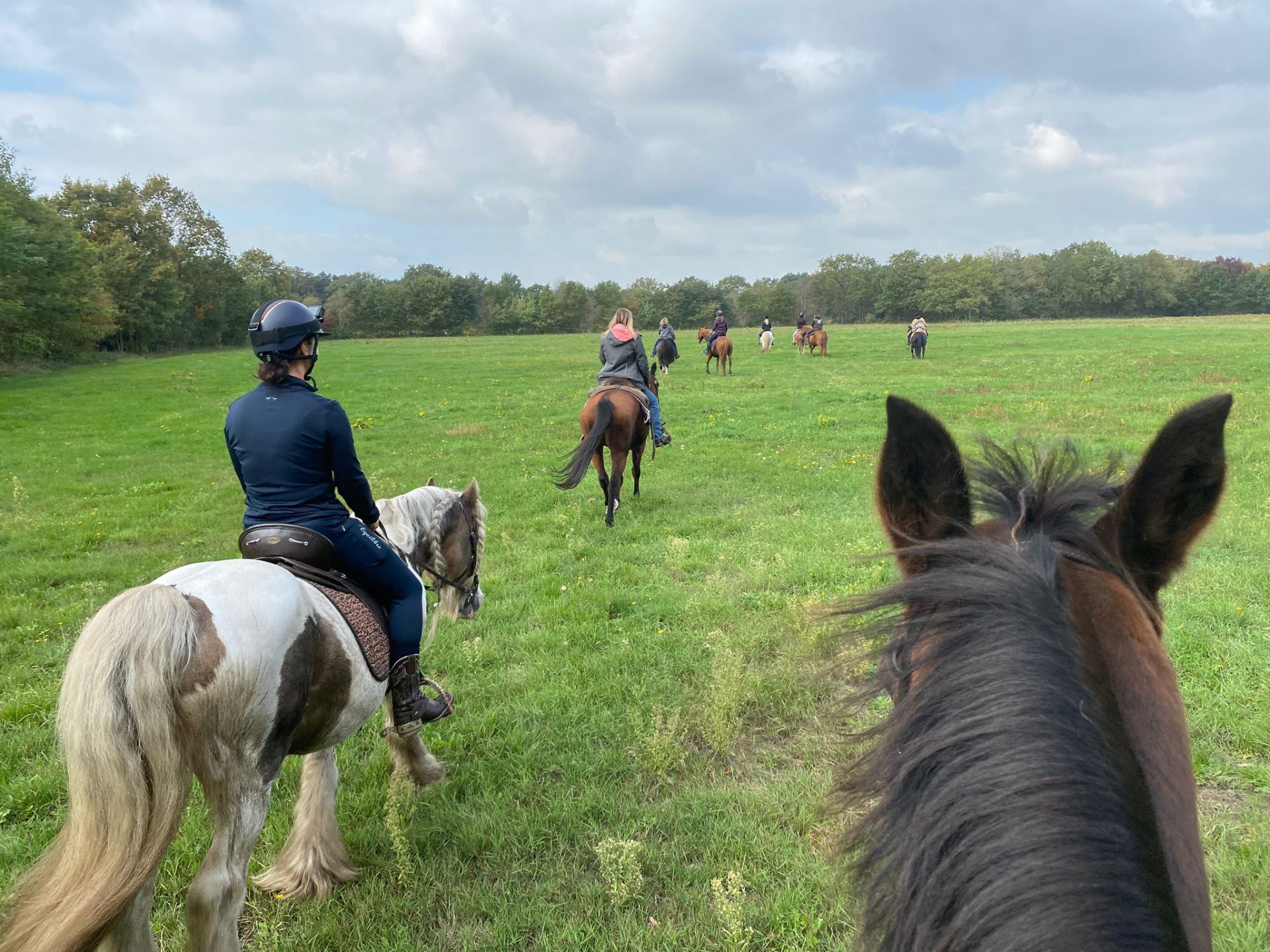 Groepsbuitenrit door de weide bij Rucphen